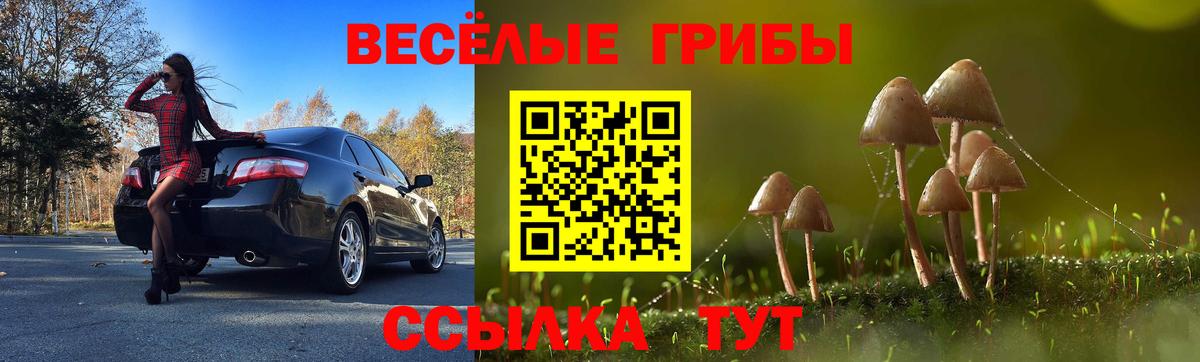 Псилоцибиновые грибы прущие грибы  Галлюциногенные грибы Magic Shrooms  Вход с VPN  Барнаул 